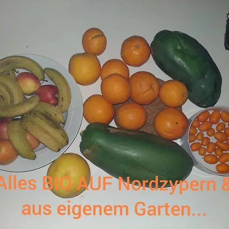 Amazing Penthouseapartment Near Sea And Mountains