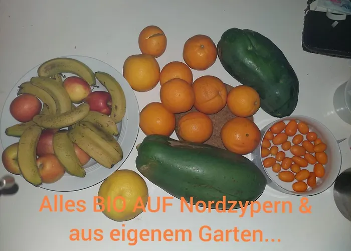 Amazing Penthouseapartment Near Sea And Mountains